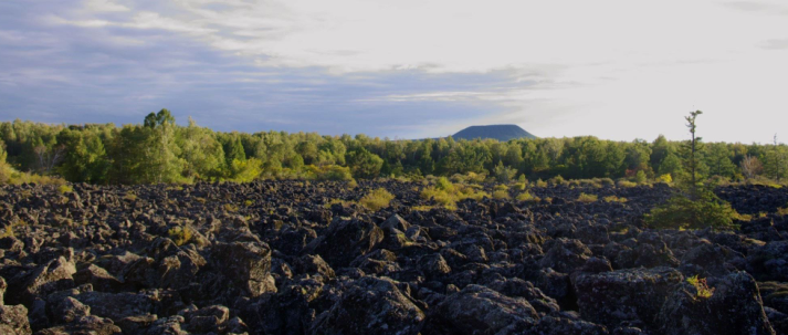 1701291485674962959391.png blob.png