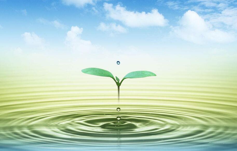 多重壁壘與千億契機(jī)并存：污泥處置如何實現(xiàn)彎道超車