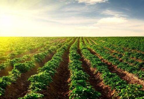 土壤修復市場：環保產業的最后一塊“蛋糕”