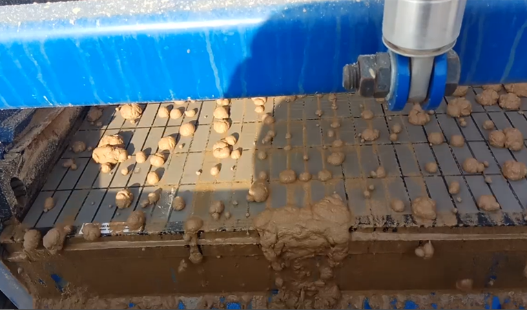 中國山東某河道淤泥處理現場