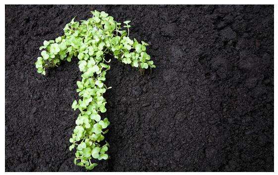 污泥處理處置行業發展前景分析 千億規模市場靜啟