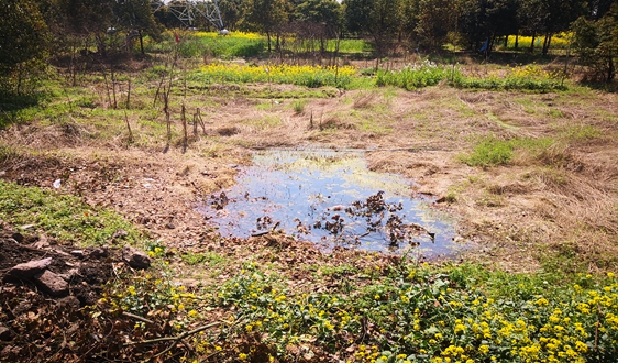 市政污泥無害化處置技術研究與可行性探討