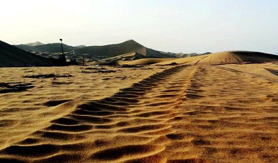  土壤修復(fù)產(chǎn)業(yè)：今年的市場資金量將超過100億