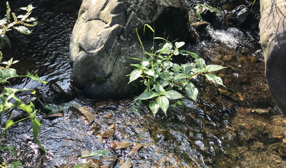 你的SS（懸浮物）為什么會超標？一定是沒考慮到這5點