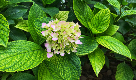 交卷之年能完成目標嗎？污泥處理還有哪些上車機會