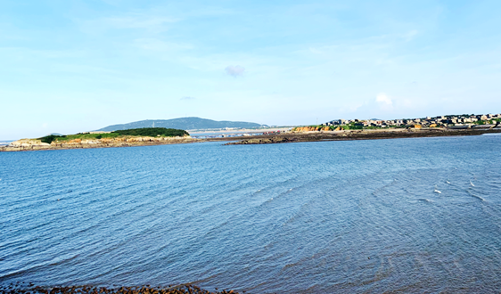 2019年中國石油新增探明儲量達12億噸 2020年將大力推進油氣