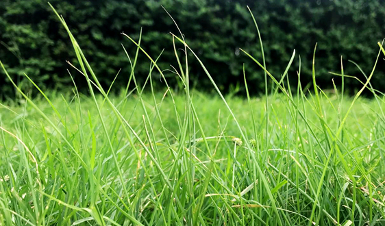 5萬億！土壤修復政策扶持不斷，長遠前景可觀