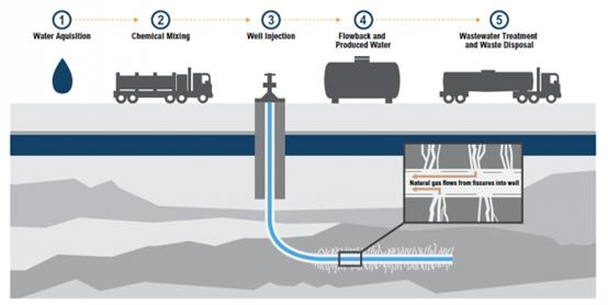 20250206/67a478802d4ca.png 圖片1.png